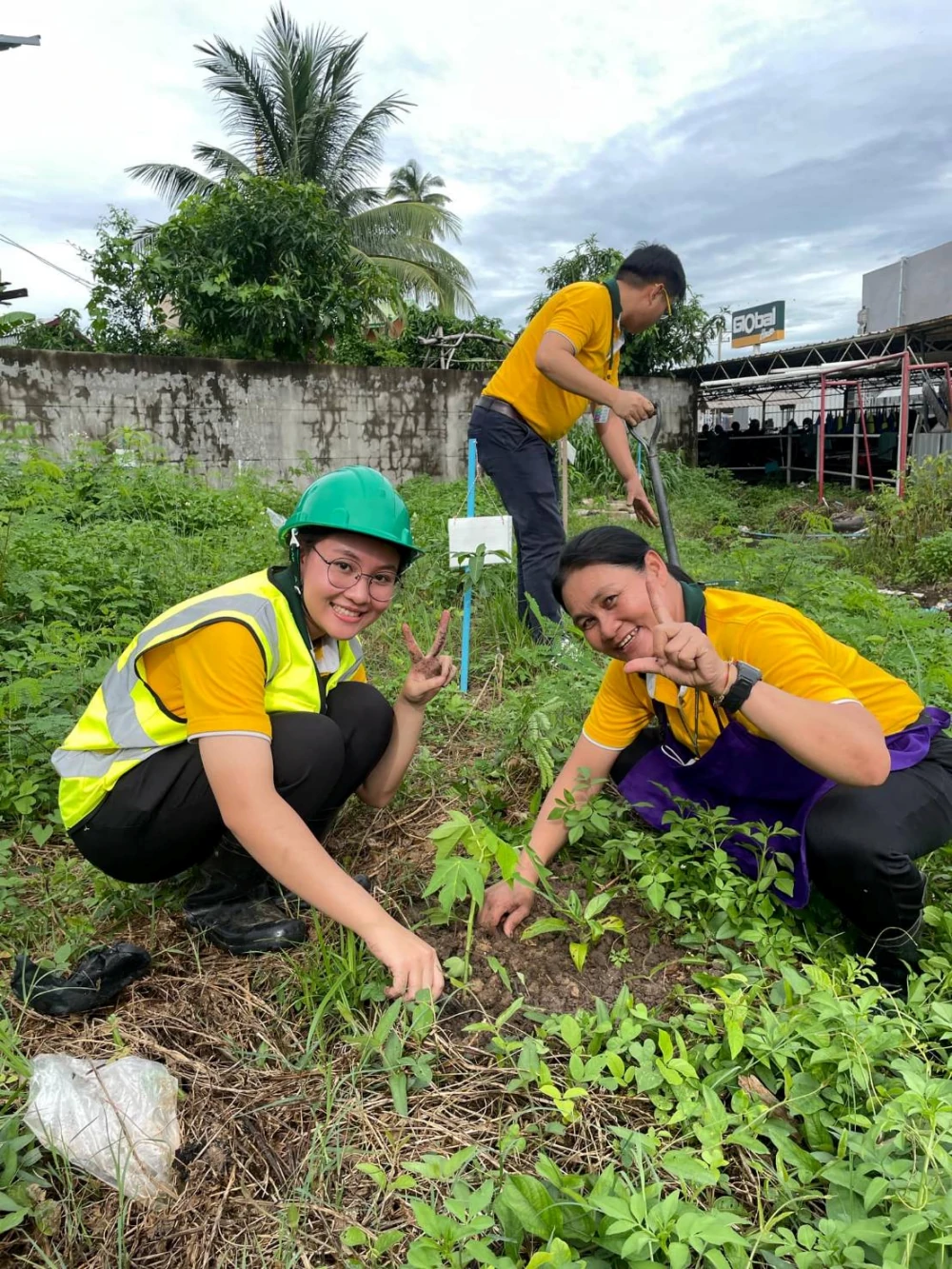 “One Tree, One Sustainability” Activity