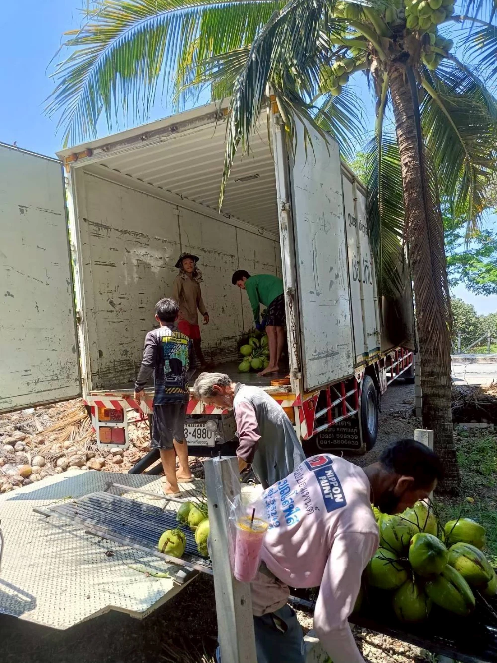 Kasetdee Supports Sustainable Farming Supporting the Distribution of “Baan Phieo Aromatic Coconuts” Nationwide