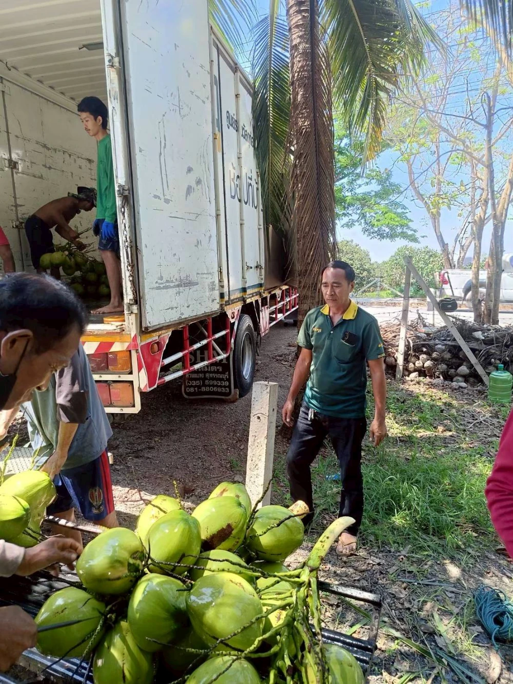 Kasetdee Supports Sustainable Farming Supporting the Distribution of “Baan Phieo Aromatic Coconuts” Nationwide