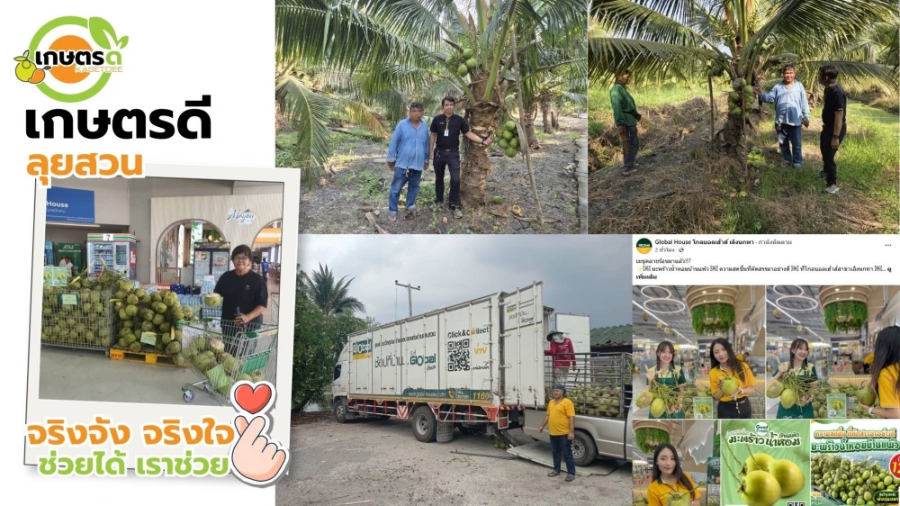Kasetdee Supports Sustainable Farming Supporting the Distribution of “Baan Phieo Aromatic Coconuts” Nationwide