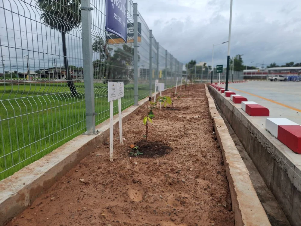 Global House Trakan Phuet Phon Branch Joins Ruang Phueng Tree Planting Ceremony in Honor of His Majesty the King on the Occasion of His Birthday Anniversary,  28 July 2026