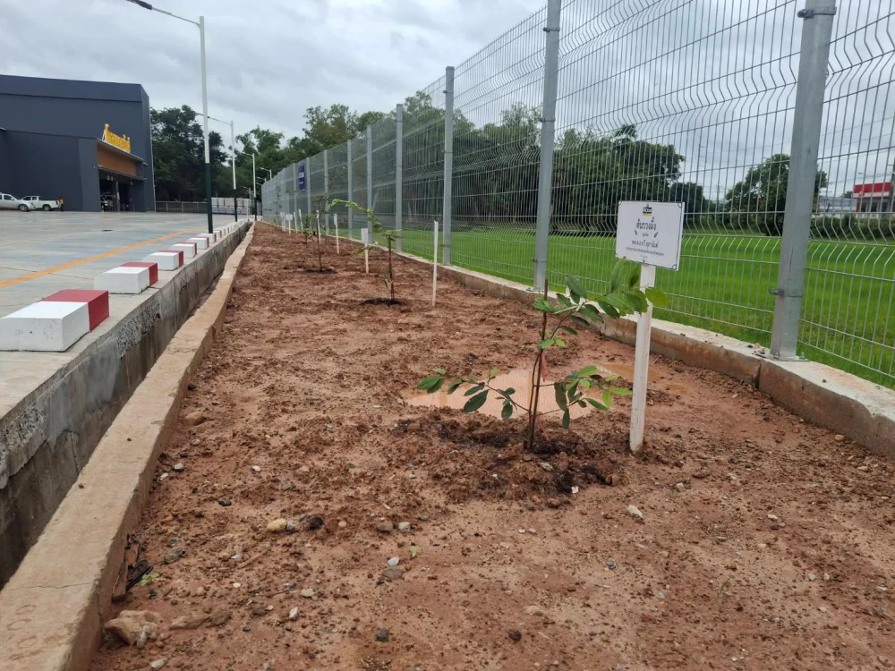 Global House Trakan Phuet Phon Branch Joins Ruang Phueng Tree Planting Ceremony in Honor of His Majesty the King on the Occasion of His Birthday Anniversary,  28 July 2026